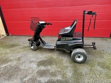 Golf Buggy Easy Rider by