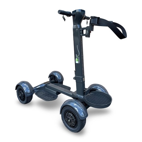 Stand and electric golf - and,